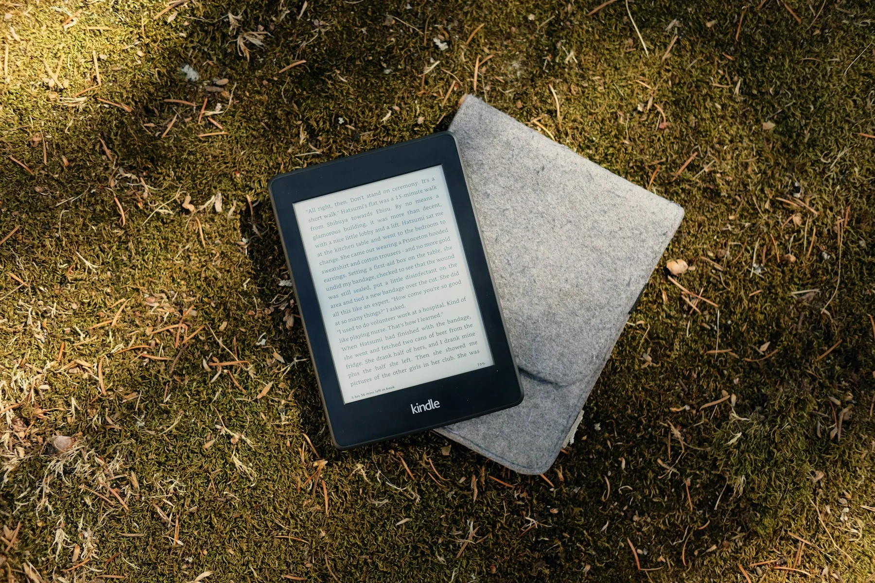 E-reader displaying a published book